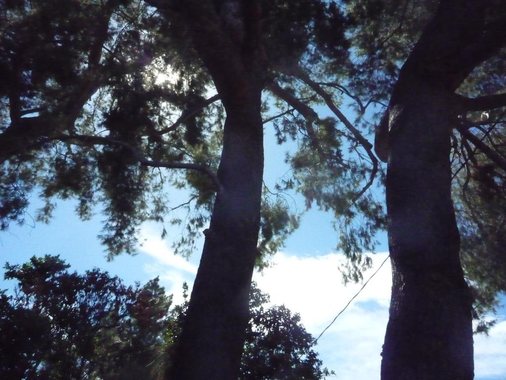 Woodland Hills Calabasas Guesthouses Los Angeles Dış mekan fotoğraf
